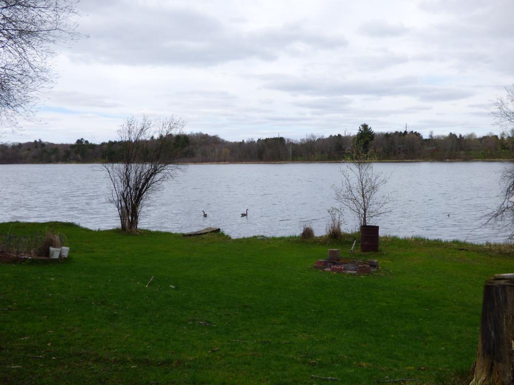 balsam lake chatrooms Balsam lake provincial park is a provincial park located in south-central ontario on balsam lake the park is situated along the trent-severn waterway, a few. balsam lake chatrooms Balsam lake provincial park is a provincial park located in south-central ontario on balsam lake the park is situated along the trent-severn waterway, a few.