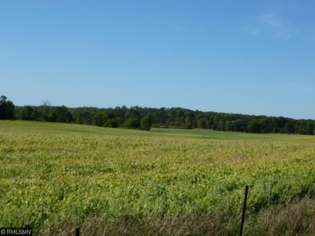 2385 River Road Eureka Twp WI 54024 4746584 image1