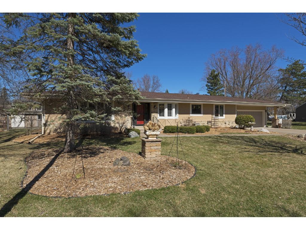 Singles in hopkins minnesota