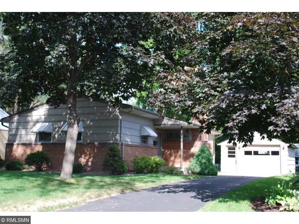 Singles in hopkins minnesota