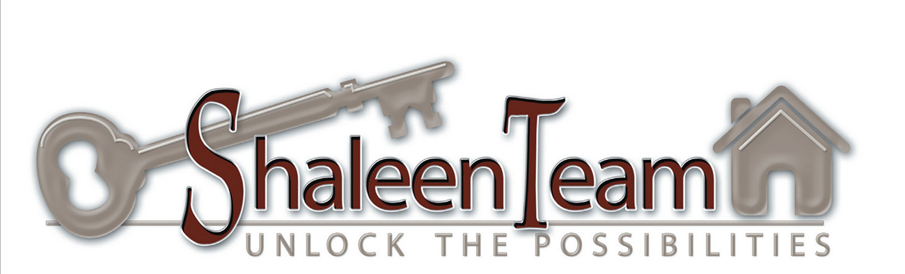 The Shaleen Team